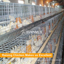 China automatic baby chick cages poultry farming equipment price